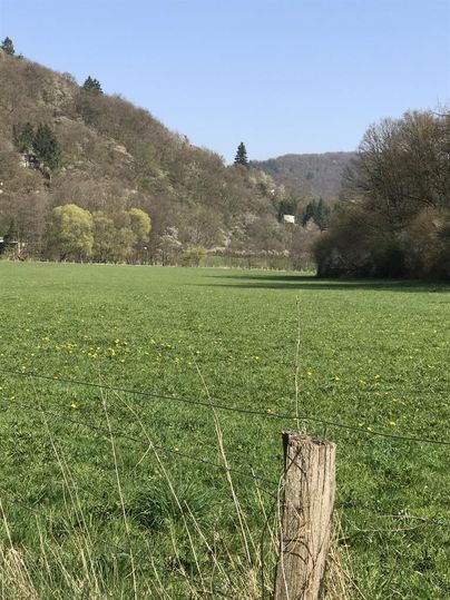 Een groene weide omgeven door zachte heuvels. Op de achtergrond zijn bomen en een blauwe lucht zichtbaar.