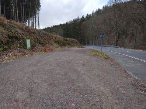 Een rustige parkeerplaats vlakbij een straat, omringd door bomen. Het landschap is natuurlijk en ongerept.