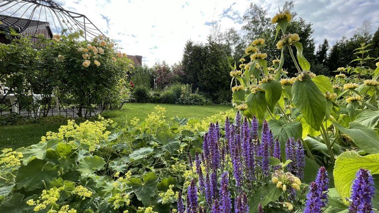 A beautiful garden with colorful flowers and plenty of green plant growth. Above the garden stands a tall, wrought iron pavilion.