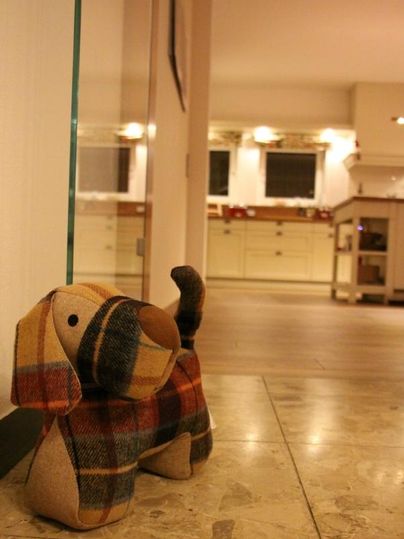 A cute stuffed dog is standing on the floor. In the background, a modern kitchen with warm lighting is visible.