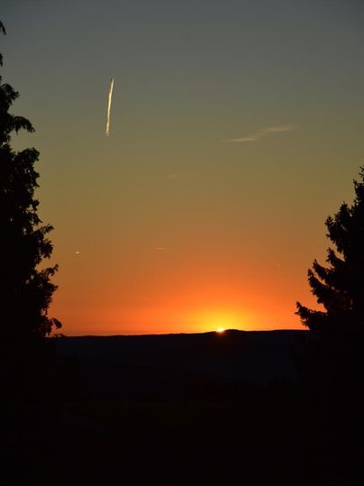 Een prachtige zonsondergang met een oranje lucht en een contrasterende silhouet van bomen. Een vliegtuig trekt een spoor aan de lucht.