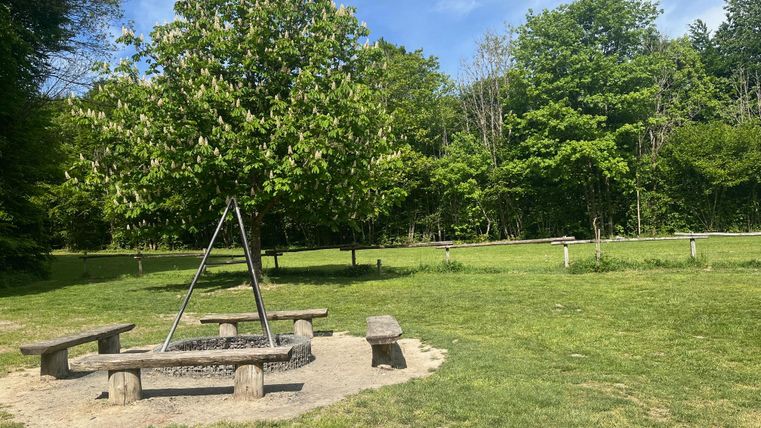 Een rustige park met een houten vuurplaats en banken. Omgeven door bomen en groen gras.