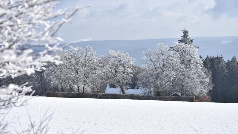 Een besneeuwd landschap met weelderige, met vorst bedekte bomen. De lucht is helder en er heerst een rustige, winterse sfeer.