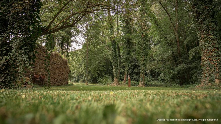 Een groene wei omringd door hoge bomen en begroeide muren. De rustige sfeer nodigt uit om te ontspannen.