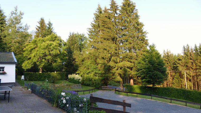Een rustige landschap met hoge bomen en groene struiken. Het geplaveide pad leidt in de verte en brengt een vredige sfeer over.