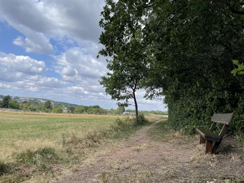 Een schilderachtige weg met een bank, omringd door bomen en een open weide. De lucht is bewolkt en het landschap lijkt vredig.