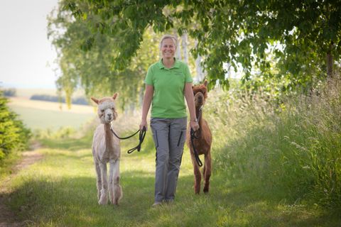 A woman is leading two small ponies along a green path. The surroundings are sunny and lined with trees.