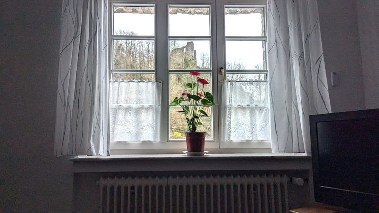 Ein Fenster mit einem Blick auf eine Burg und einem blühenden Topfpflanze auf der Fensterbank. Die Vorhänge sind hell und durchsichtig.