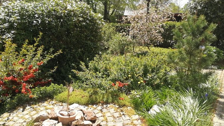 A beautiful garden with colorful flowers and a round rock garden. In the background, trees and shrubs can be seen.