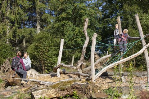 An outdoor wooden playground with climbing and balancing opportunities. Children play and explore nature in a green environment.