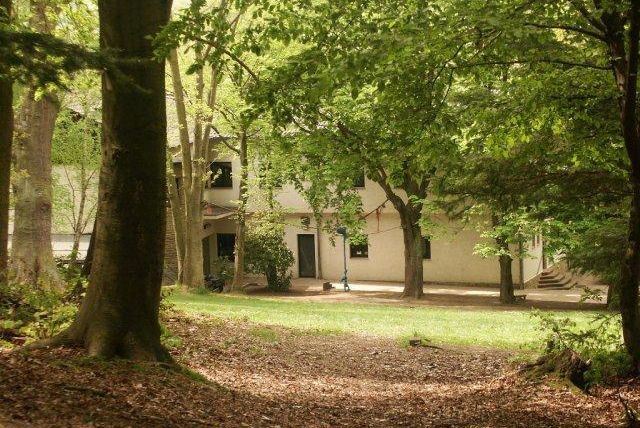 Een rustige bosweg omringd door hoge bomen. Op de achtergrond is een gebouw te zien.