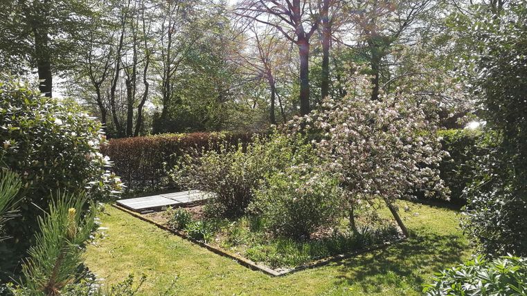 A beautiful garden with flowering bushes and a green lawn. The trees in the background provide shade and create a calm atmosphere.
