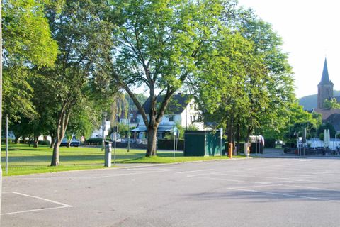 Een rustige park met grote bomen en een heldere lucht. Op de achtergrond zijn enkele gebouwen en een kerktoren te zien.
