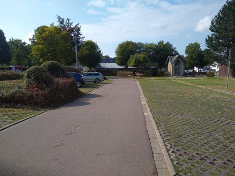 A quiet street with parked cars and lush greenery. In the background, you can see a small building and trees.
