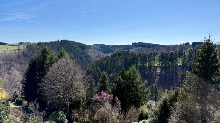 Een schilderachtig landschap met groene heuvels en dichte bossen onder een heldere blauwe lucht. Op de voorgrond zijn verschillende bomen en struiken te zien.