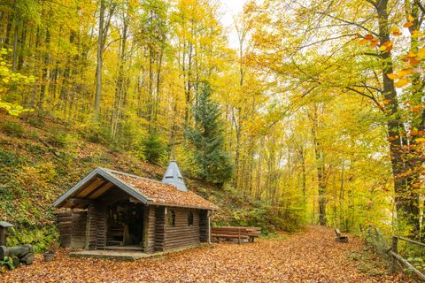 A cozy cabin in the forest surrounded by trees in autumn colors. The path is covered with colorful leaves and invites you for a walk.