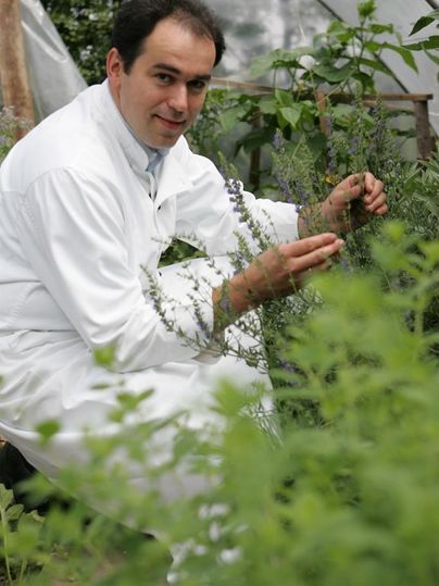 A man in a white lab coat is sitting in the greenhouse examining plants. He is holding a plant in his hand and looks focused.