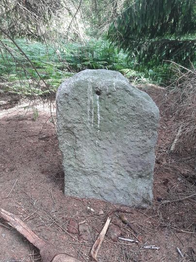 Een grote, met mos bedekte steen staat in het bos. Om hem heen zijn groenplanten en landelijke ondergrond zichtbaar.