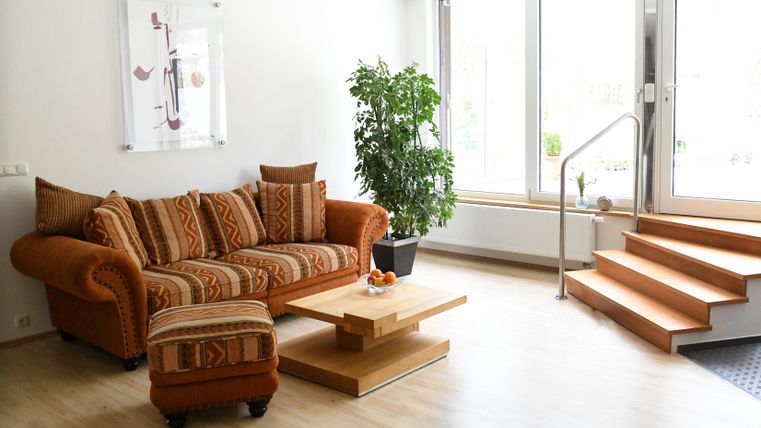 A bright living room with a cozy orange sofa and a coffee table. Next to the sofa is a plant, and there are windows that let in plenty of daylight.
