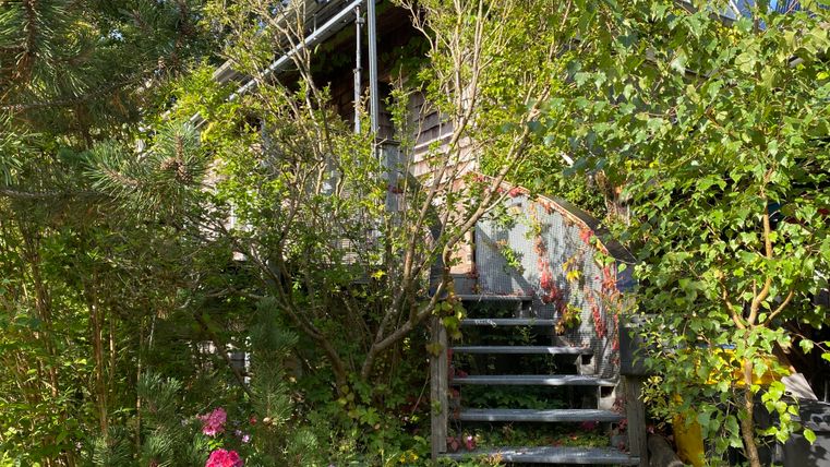 Ein verwunschener Garten mit vielen Pflanzen und Büschen. Ein Aufgang führt zur Ferienwohnung.