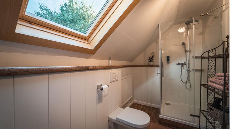 Een moderne badkamer met een douche en een raam dat daglicht binnenlaat. Er is ook een toilet en een rek met handdoeken.