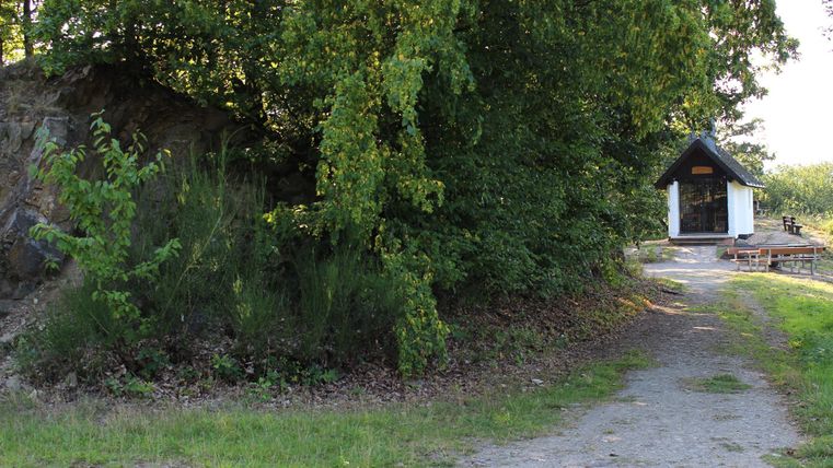 Een smal pad leidt naar een klein, wit huisje, omringd door weelderig groen. De scène straalt rust en verbondenheid met de natuur uit.