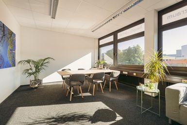 Ein modernes Büro mit einem großen Tisch und bequemen Stühlen. Große Fenster lassen viel Licht herein und im Raum sind Pflanzen dekoriert.