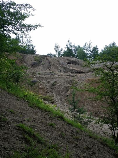 A steep slope of sand and dirt with green vegetation along the edge. Trees and a gray sky are visible in the background.