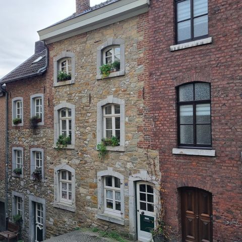 Historische huizen van steen en baksteen met vensters en planten zijn te zien. De charmante architectuur straalt een nostalgisch sfeer uit.