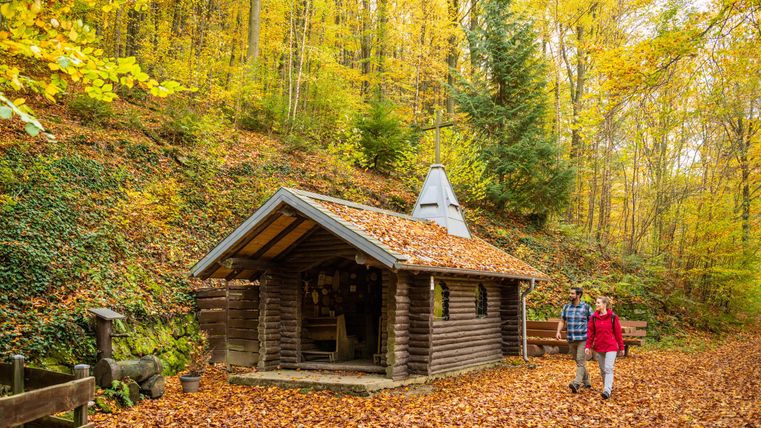 A cozy wooden cabin in a colorful deciduous forest. Two people are walking past on a leaf-covered path.