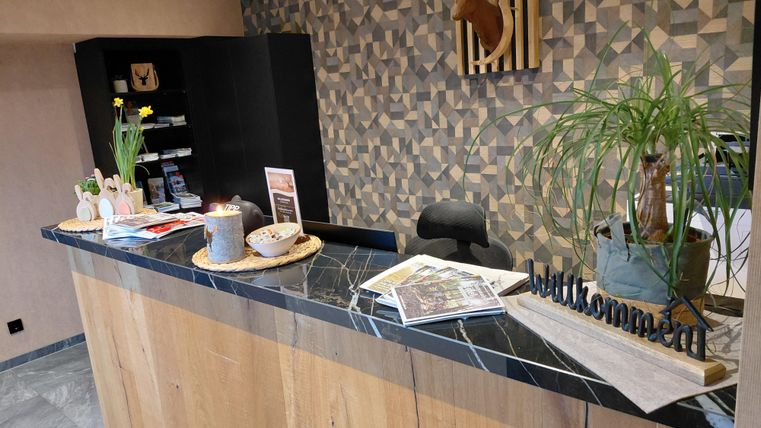 A modern reception area with a stylish counter made of wood and black stone. A decorative wall with a geometric pattern and plants creates an inviting atmosphere.