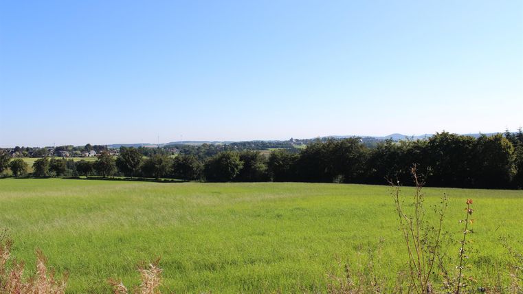 Een uitgestrekt, groen veld onder een heldere blauwe lucht. Op de achtergrond zie je bomen en heuvels.