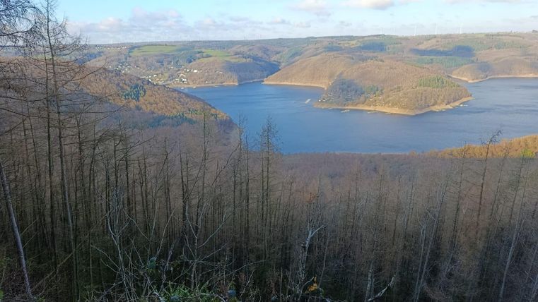 A picturesque view of a lake, surrounded by gentle hills and bare trees. The sky is partly cloudy and the landscape exudes tranquility.