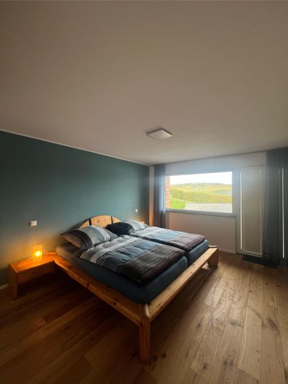 A modern bedroom with a large wooden bed and comfortable bedding. The window offers a view of the green landscape.
