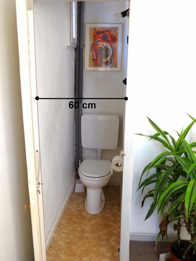 A narrow toilet with a width of 60 cm. In the background, there is a plant and a piece of artwork on the wall.