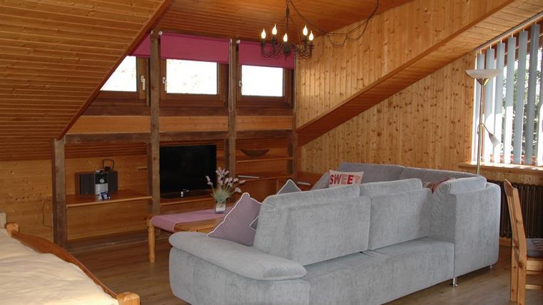 A cozy living room with wood paneling and slanted walls. There is a gray sofa, a TV, and large windows that let in light.