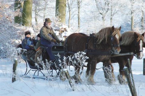 Een winterlandschap met sneeuw en bomen. Een paarden-slee tocht met passagiers trekt door de besneeuwde omgeving.