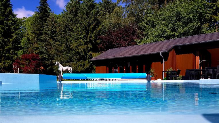 A clear pool surrounded by trees and a modern wooden structure. The sky is blue and the place feels inviting and relaxing.