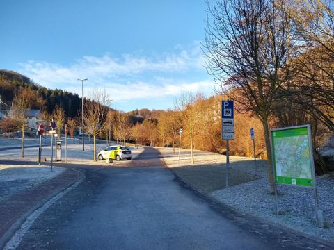Eine Parklandschaft mit kahlen Bäumen und einem blauen Himmel. Ein Polizeiauto steht am Straßenrand.