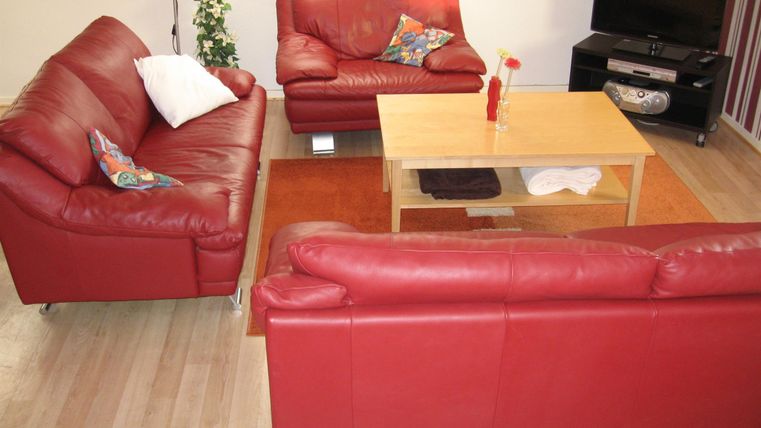 Een moderne woonkamer met rode leren banken en een lichte houten tafel. Op de achtergrond staat een televisie en een plant zorgt voor een frisse accent.