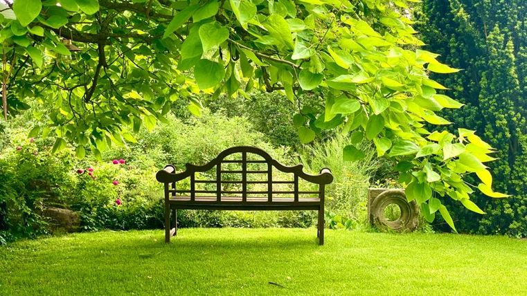 Een houten bank staat op een groene weide onder een grote boom. Omgeven door weelderig groen en kleurrijke bloemen biedt de plek een uitnodigende sfeer.