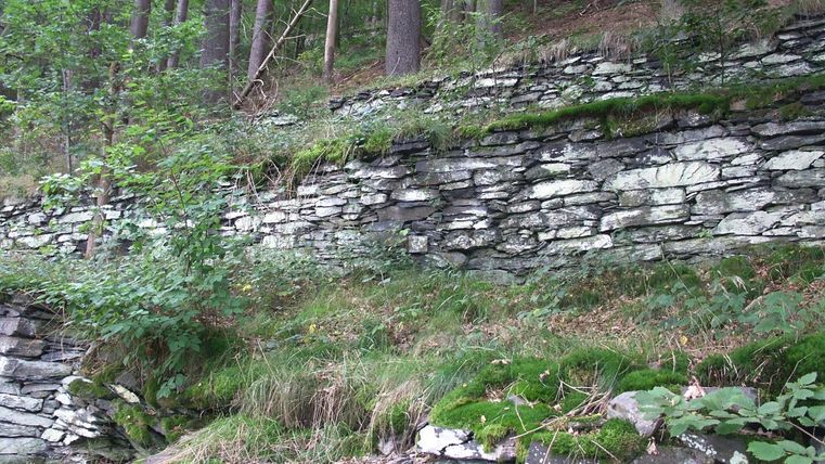 A natural stone wall covered with grass and plants. In the background, tall trees in the forest are visible.