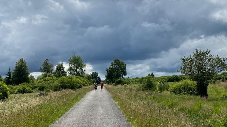 Ein menschenleerer Weg führt durch eine grüne Landschaft unter einem bewölkten Himmel. Auf dem Weg fahren zwei Radfahrer in die Ferne.
