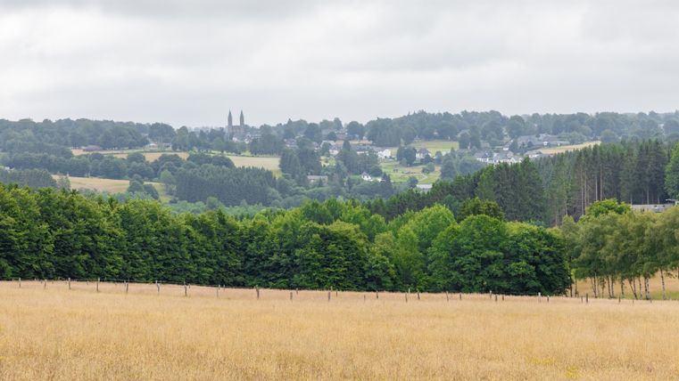 A hilly landscape with wide fields and green trees. In the background, small villages can be seen under a cloudy sky.