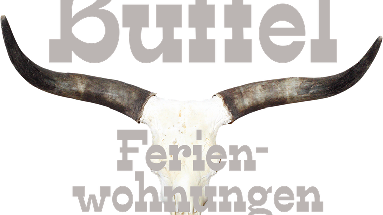 A animal head with large horns, serving as decoration. Below it is the inscription "Buffalo Holiday Apartments".
