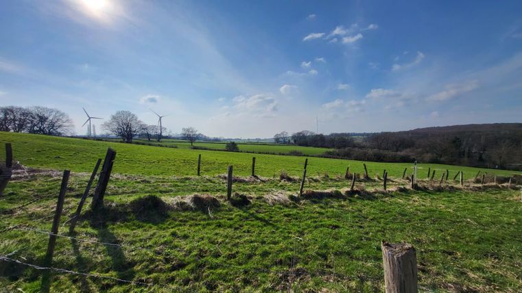Eine weite grüne Landschaft mit sanften Hügeln und einem klaren blauen Himmel. Im Hintergrund sind Windräder sichtbar.