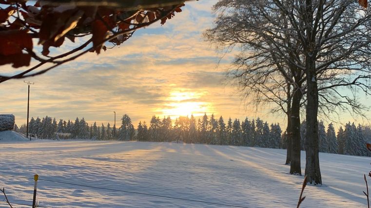 A winter landscape with a snow-covered field and trees. The sun is rising behind the horizon and the sky is slightly cloudy.