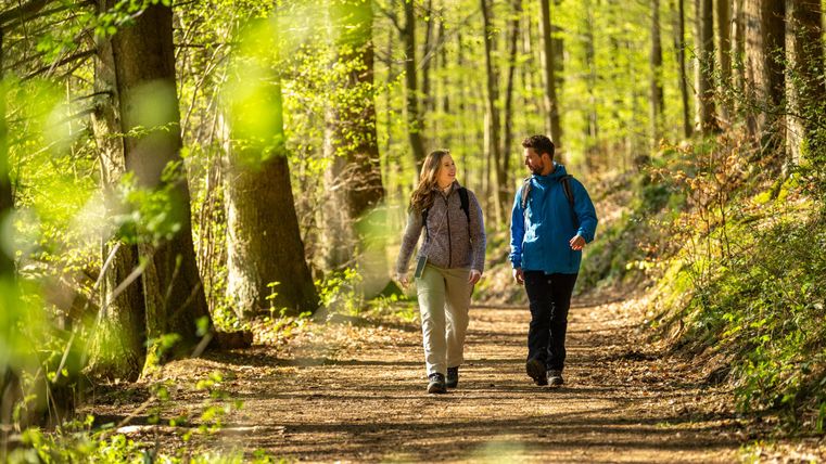 Twee mensen wandelen op een bospad. Omringd door groene bomen en natuurlijk licht genieten ze van de frisse lucht.
