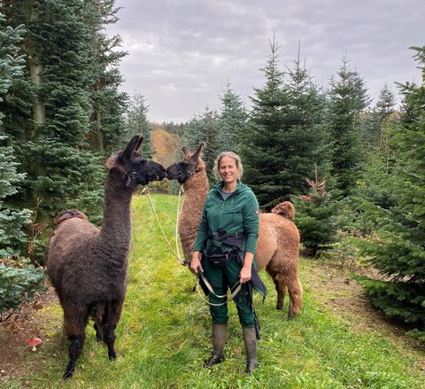 Eine Frau steht im Wald und hält zwei Lamas an Leinen. Um sie herum sind hohe Tannen und ein grauer Himmel.
