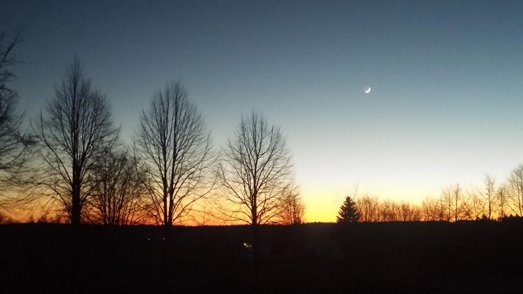 Een mooie zonsondergang met een heldere lucht en gesilhouetteerde bomen op de voorgrond. De maan is aan de lucht zichtbaar.